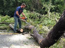 Best Weed Control  in Glendale, CA